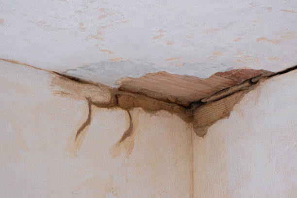 Best Basement water damage restoration  in USA